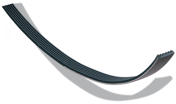 Centrifuge Poly V belt