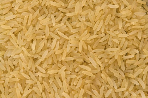 wet-grinder-flexible-belt