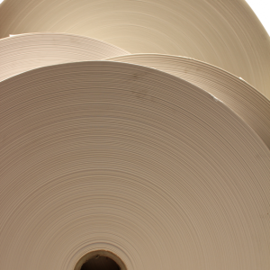 Presse papier (dérouleur)