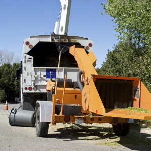 Broyeur (pellet, bois)