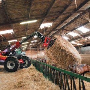 Ventilateur sur Chargeur Téléscopique