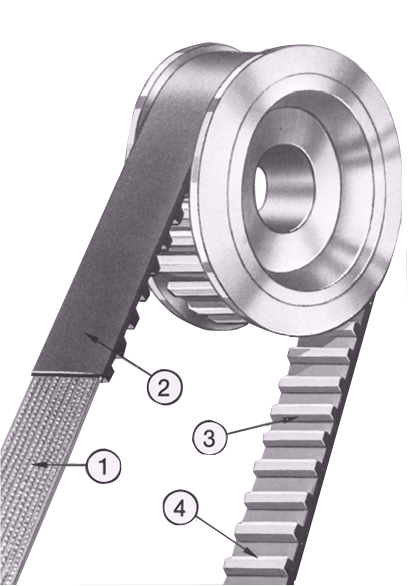 Timing belt structure